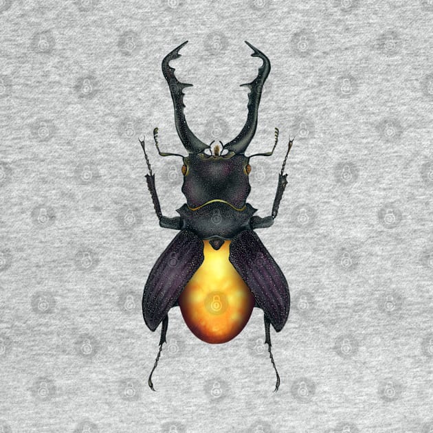 Amber Beetle by illucalliart